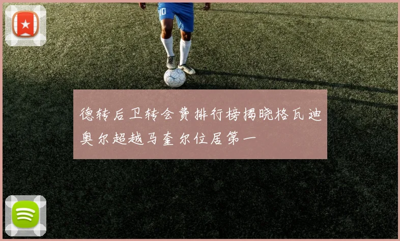 德转后卫转会费排行榜揭晓格瓦迪奥尔超越马奎尔位居第一